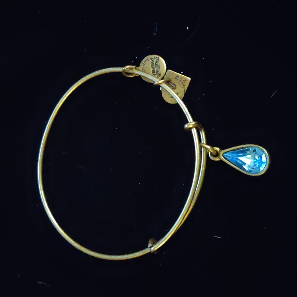 Alex and Ani Women's Gold Tone Bracelet - Living Water